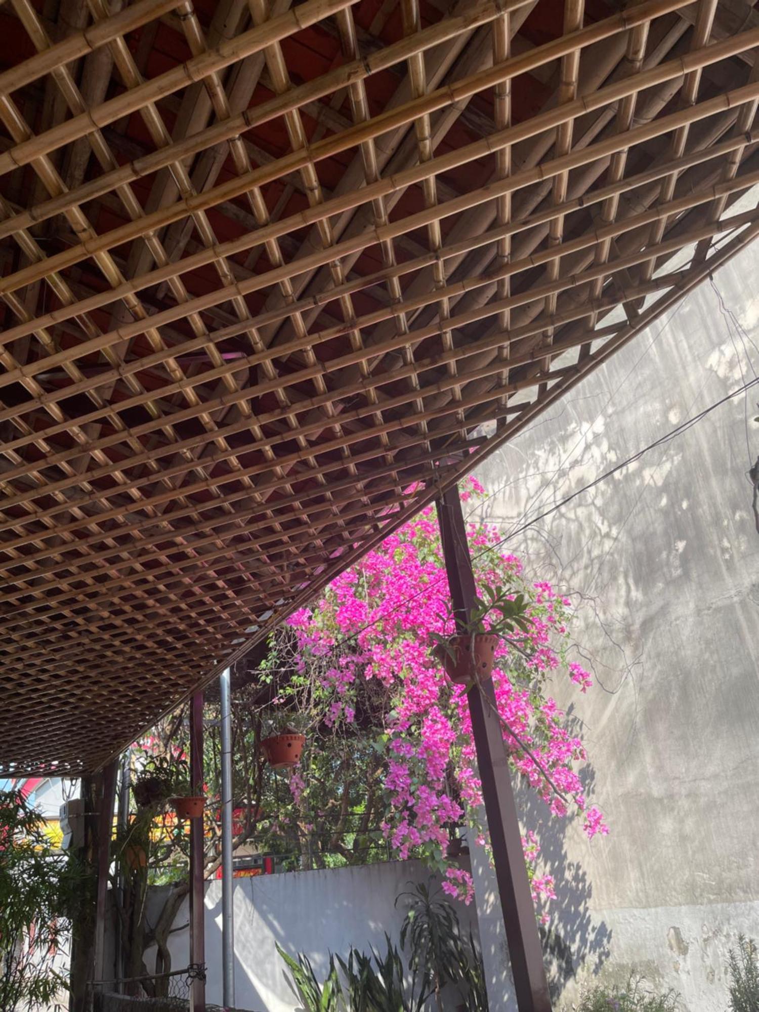 Vu Lam Thuy Xuyen Tam Coc Homestay מראה חיצוני תמונה