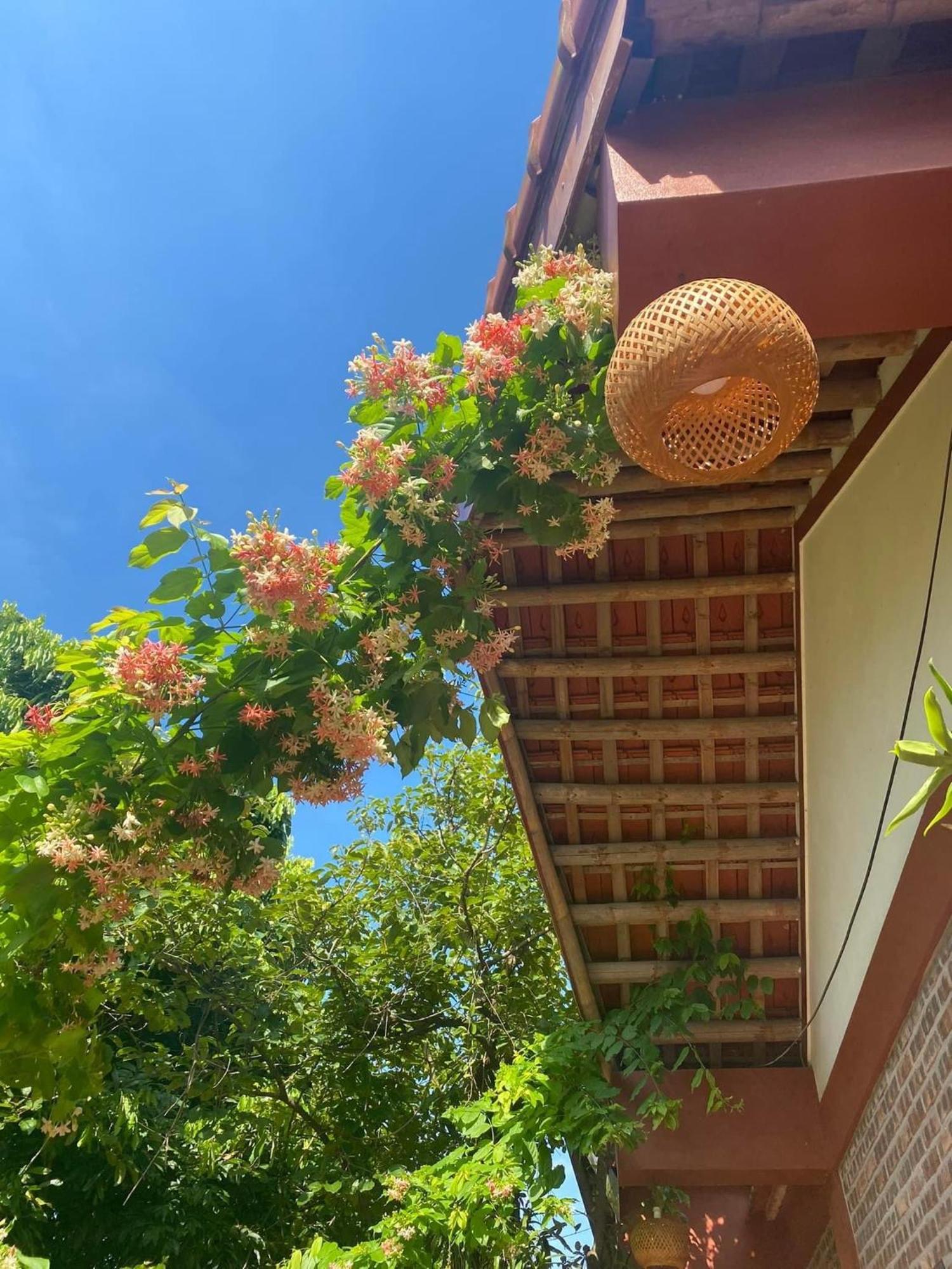 Vu Lam Thuy Xuyen Tam Coc Homestay מראה חיצוני תמונה