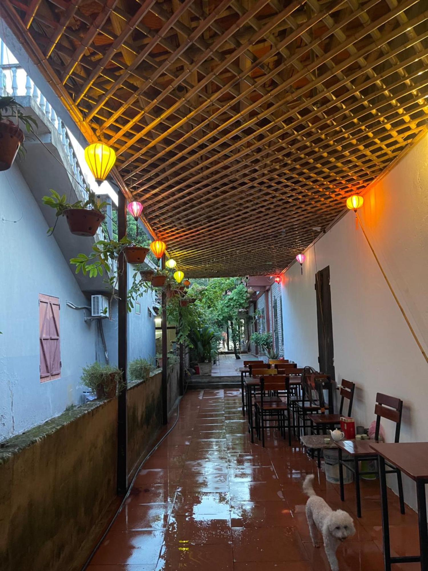 Vu Lam Thuy Xuyen Tam Coc Homestay מראה חיצוני תמונה
